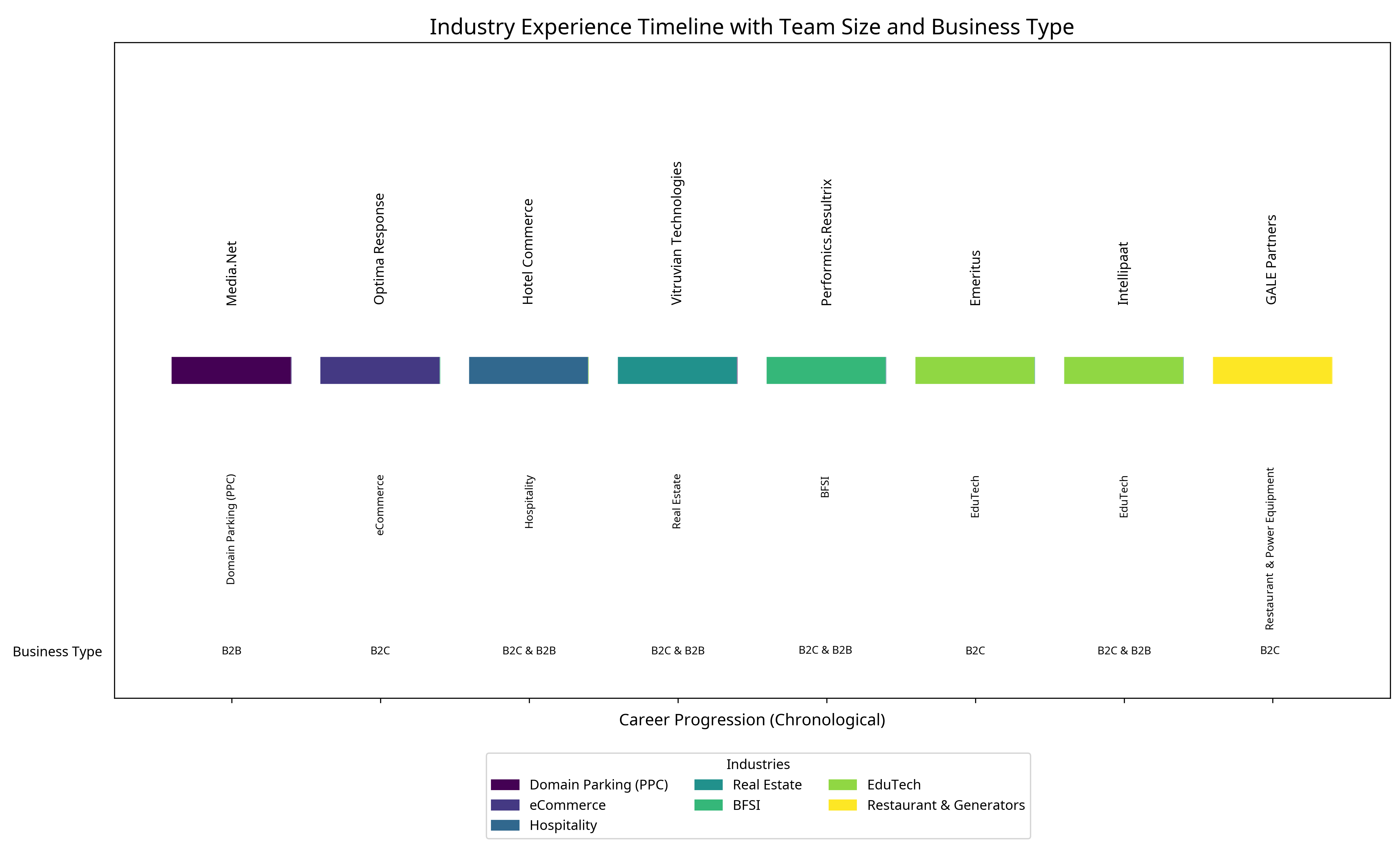Industry Experience Timeline