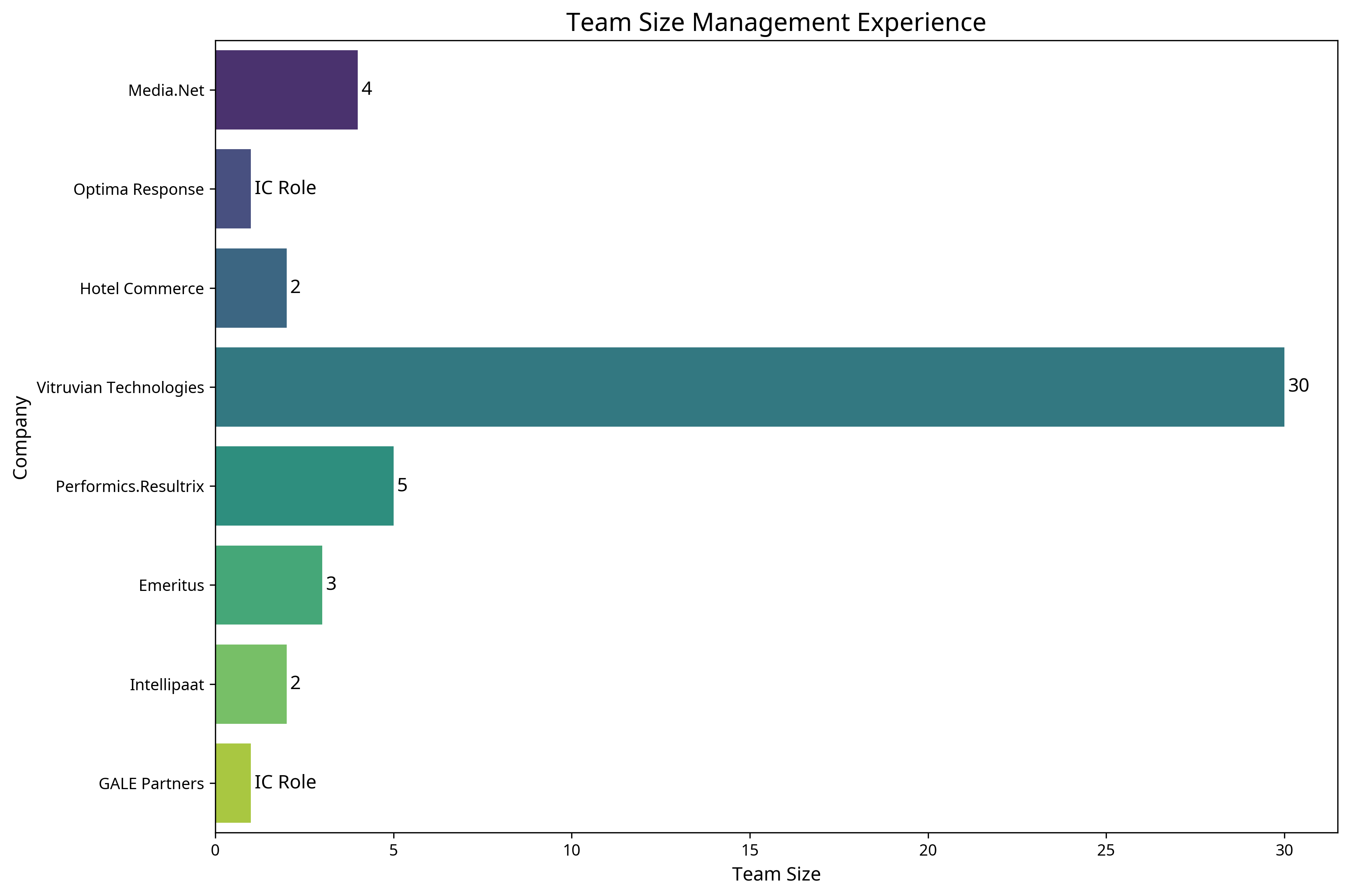 Team Size Management Experience